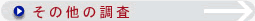 その他の調査